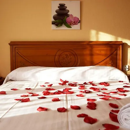 Homeholidaysrentals Cordial Appartement *