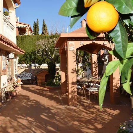Homeholidaysrentals Cordial Appartement Pineda de Mar